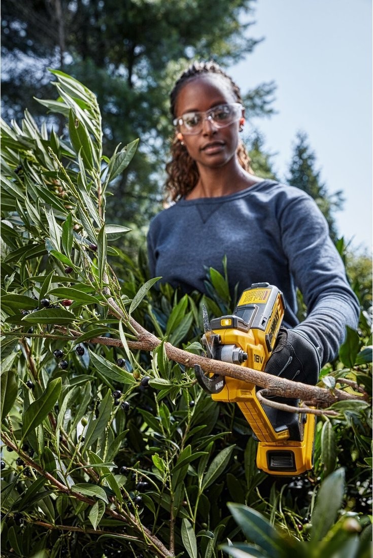 Секатор DeWalt DCMPP568P1 (с 1-им АКБ)