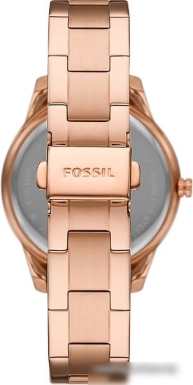 Наручные часы Fossil Stella ES5109