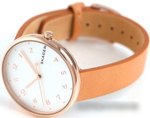 Наручные часы Skagen SKW2624