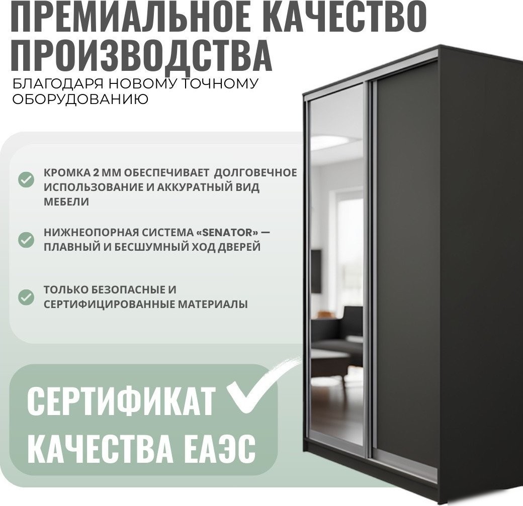 Шкаф-купе Рэйгрупп 203 BBX Elgon РГ-08.02 (белый премиум/белый премиум/хром)
