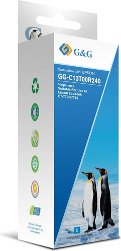 Чернила G&G GG-C13T00R240