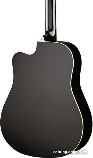 Акустическая гитара Naranda TG220CBK