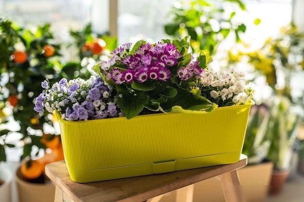 Вазон 5 Plast Прованс Балконный ящик (6 л, фисташковый, с подставкой)