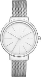 Наручные часы Skagen SKW2478