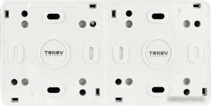 Выключатель Tokov Electric TKE-NX-V1RZ-C01T-IP54