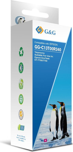 Чернила G&G GG-C13T00R340