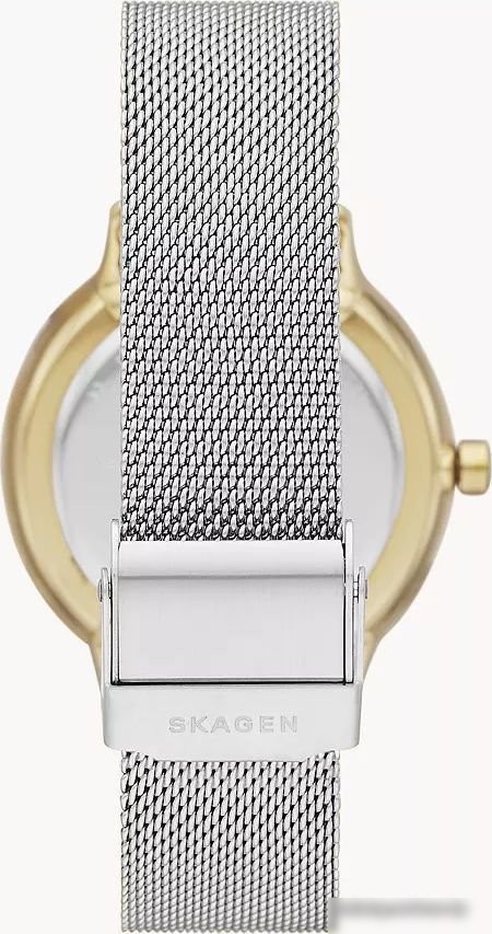 Наручные часы Skagen Riis SKW2912