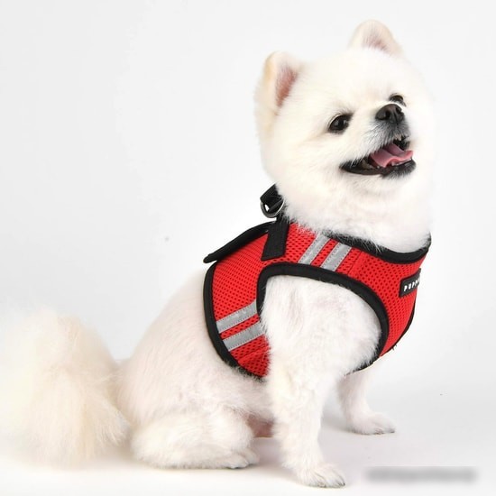 Шлейка-жилетка Puppia Soft PAUA-HB1828-RD-L (красный)