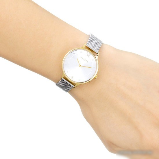 Наручные часы Skagen SKW2340