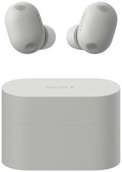 Наушники Sony WF-1000XM6 (серый)