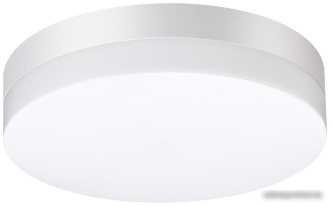 Уличный накладной светильник Novotech Opal 358881