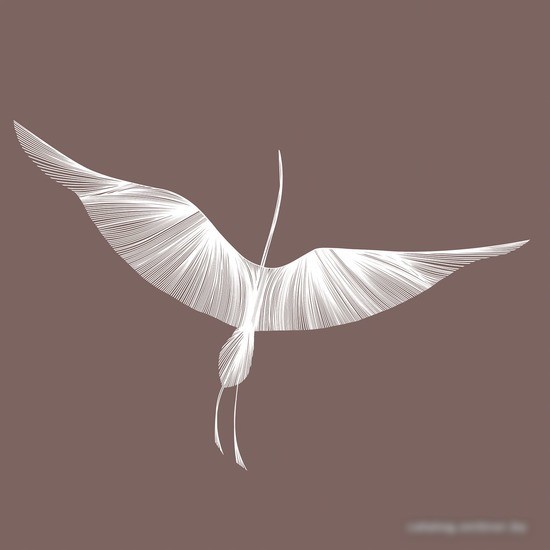 Виниловые обои Citydecor Perfect Lines 11 300x270