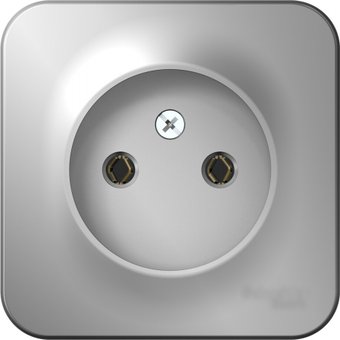 Розетка Systeme Electric Blanca BLNRA000113 (алюминий)
