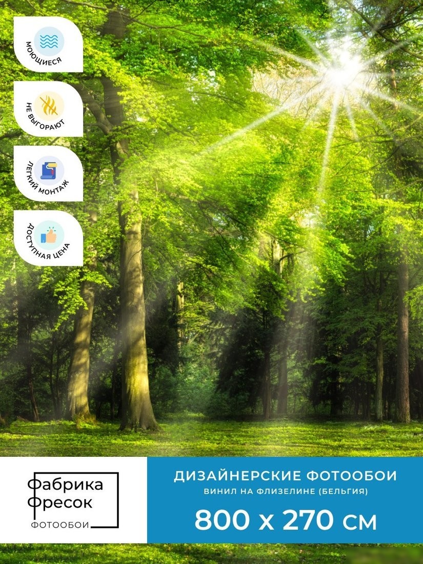 Фотообои ФабрикаФресок Солнечный Зеленый Весенний Лес 1098270 (800x270)