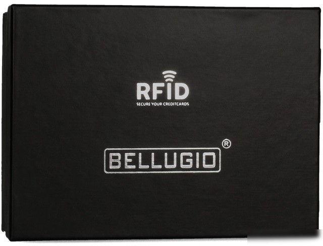 Кошелек Bellugio TD-125R-415