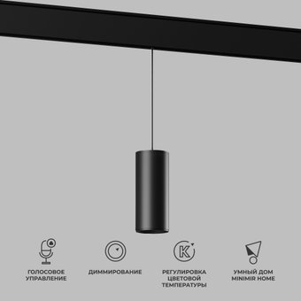 Точечный светильник Elektrostandard Slim Magnetic Dim Amend 85073/01 (черный)