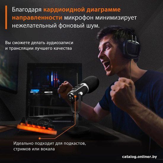 Проводной микрофон SunWind SW-SM500G