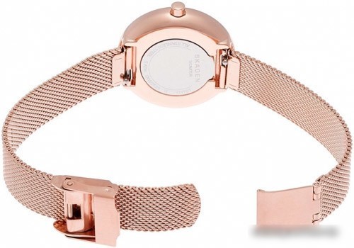 Наручные часы Skagen SKW2593