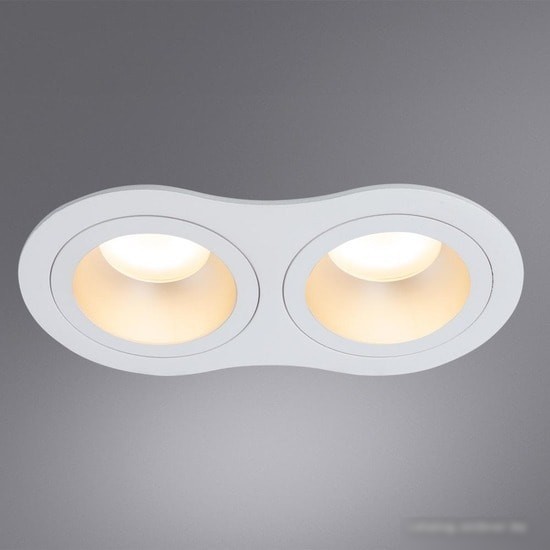 Точечный светильник Arte Lamp Alkes A2161PL-2WH