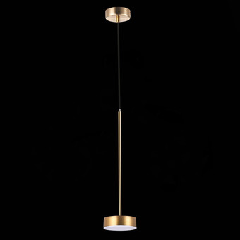 Подвесная люстра ST Luce Pances SL6000.303.05