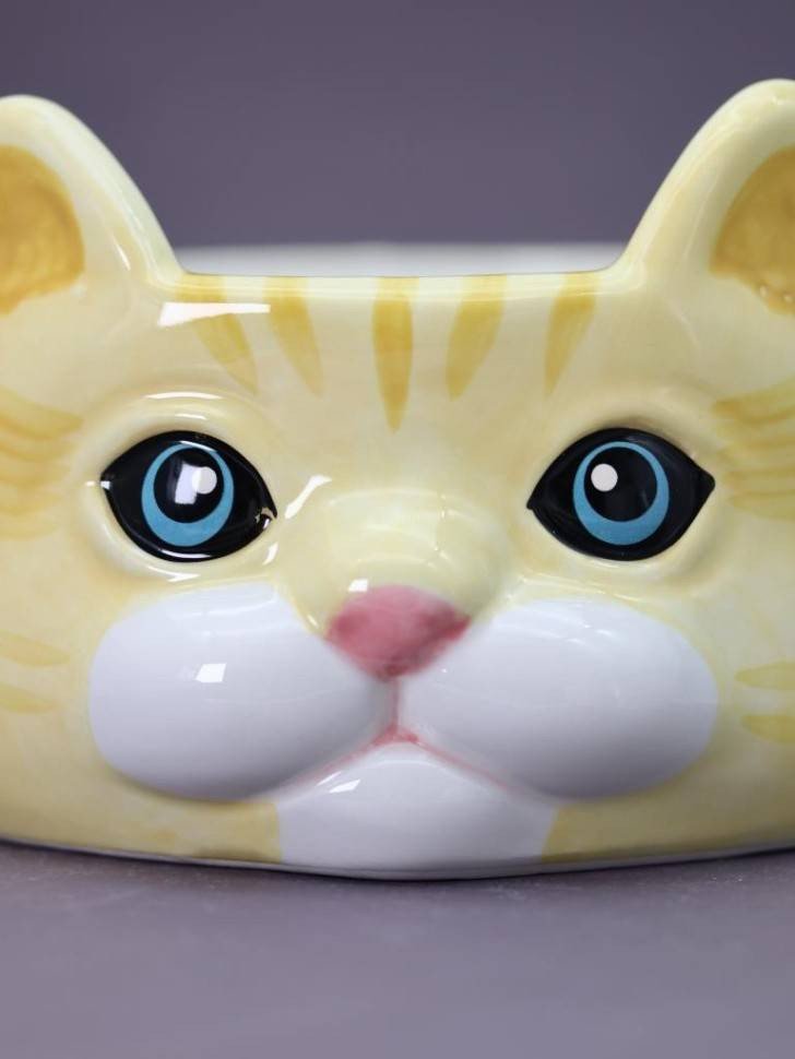 Миска ILikeGift Голубоглазый кот FC240444