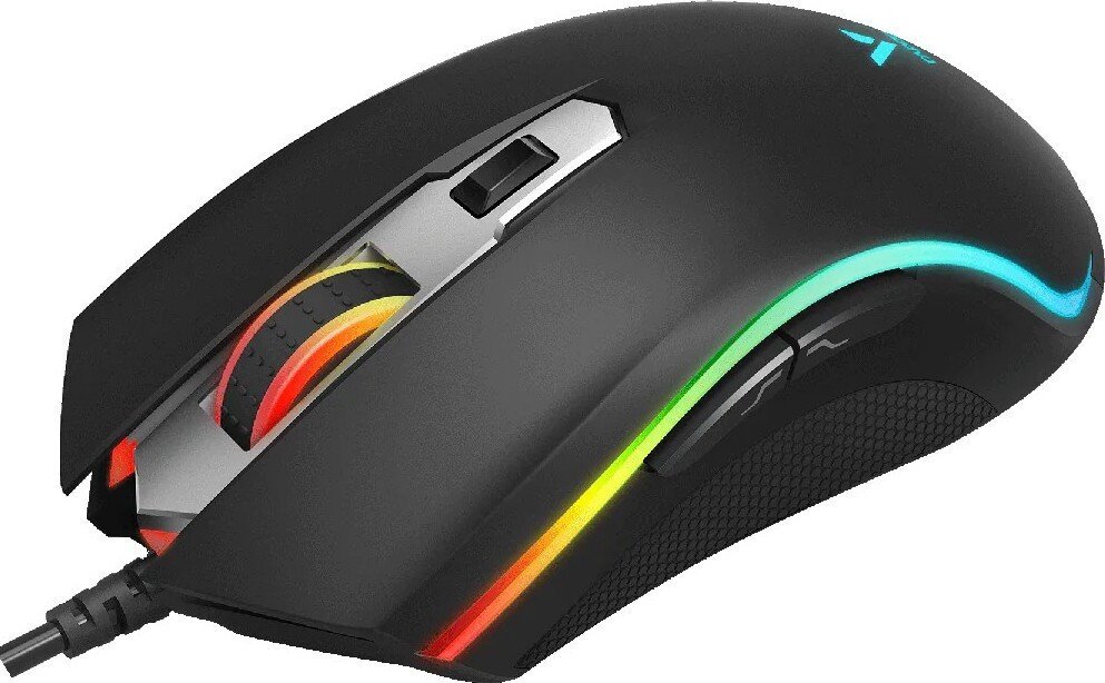 Игровая мышь Rapoo V25S 2022 (черный)