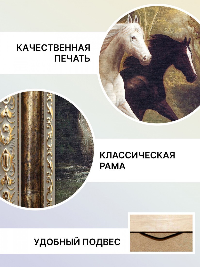 Картина Декарт 8Л2459