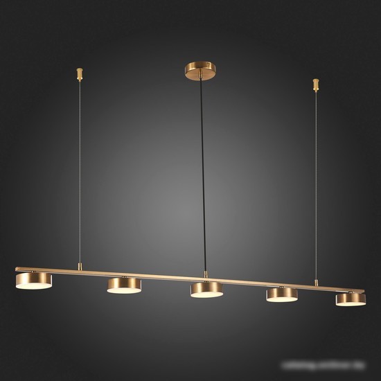 Подвесная люстра ST Luce Pances SL6000.303.05