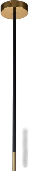 Подвесная люстра Favourite Light Point 2997-1P