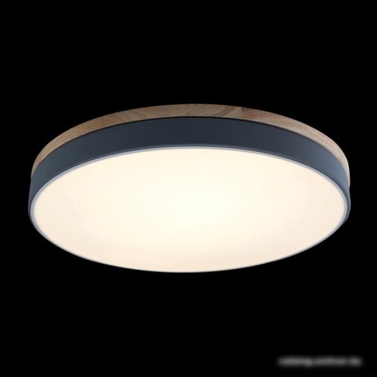 Люстра-тарелка LOFT IT Axel 10001/36 Grey
