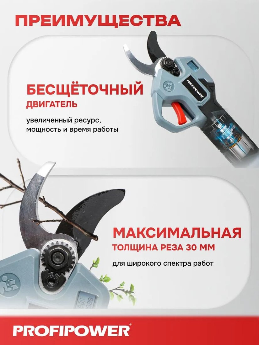 Секатор Profipower PC-20B (с 1-им АКБ, кейс)