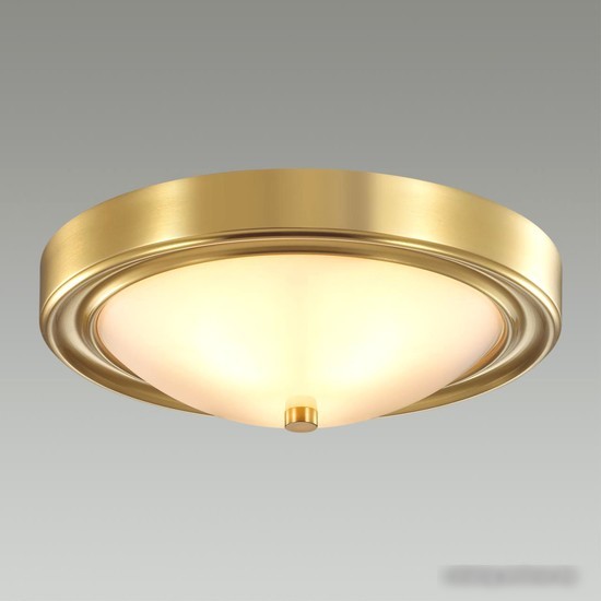Припотолочная люстра Lumion Nina 5259/2C