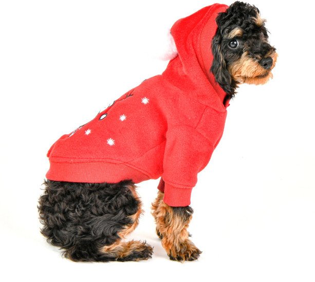 Свитер для животных Puppia Blitzen PATD-TS1754-RD-S (красный)