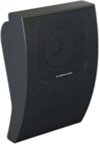 Пассивная акустика CVGaudio WPA10TBL