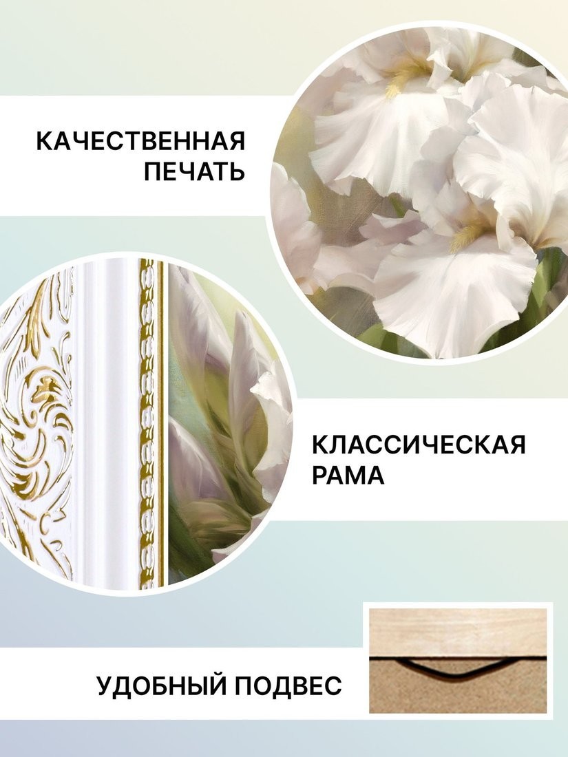 Картина Декарт Белые Ирисы 2 8Л0742 (в раме)