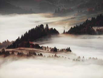 Картина Orlix Туман CA-12952 85x113 см