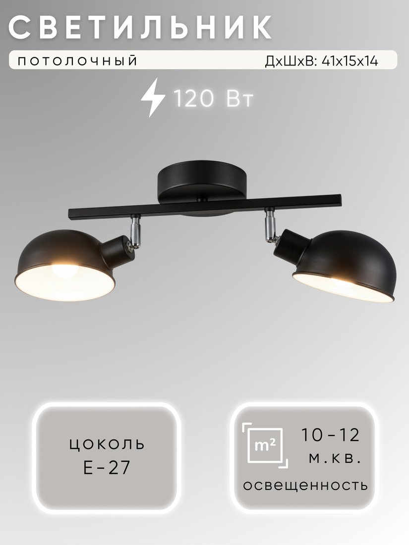 Припотолочная люстра Aitin Pro НПБ 02-2x60-102 C1021/2 (черный)