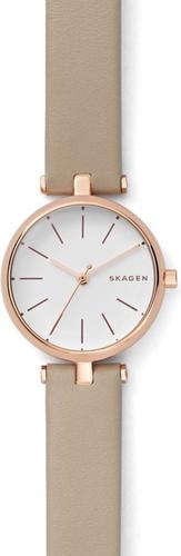 Наручные часы Skagen SKW2643