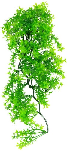 Искусственное растение Lucky Reptile Turtle Plant Ceratopteris TP-41