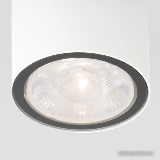 Уличный накладной светильник Elektrostandard Light 2103 35131/H (белый)