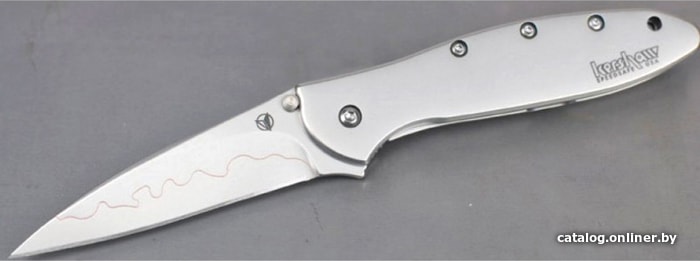 Складной нож Kershaw 1660CB Leek