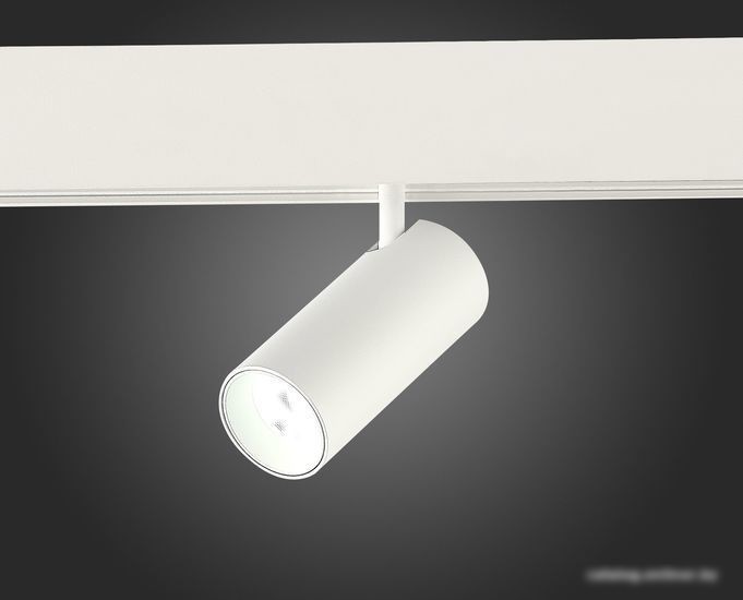 Трековый светильник ST Luce SKYLine 48 ST375.506.07