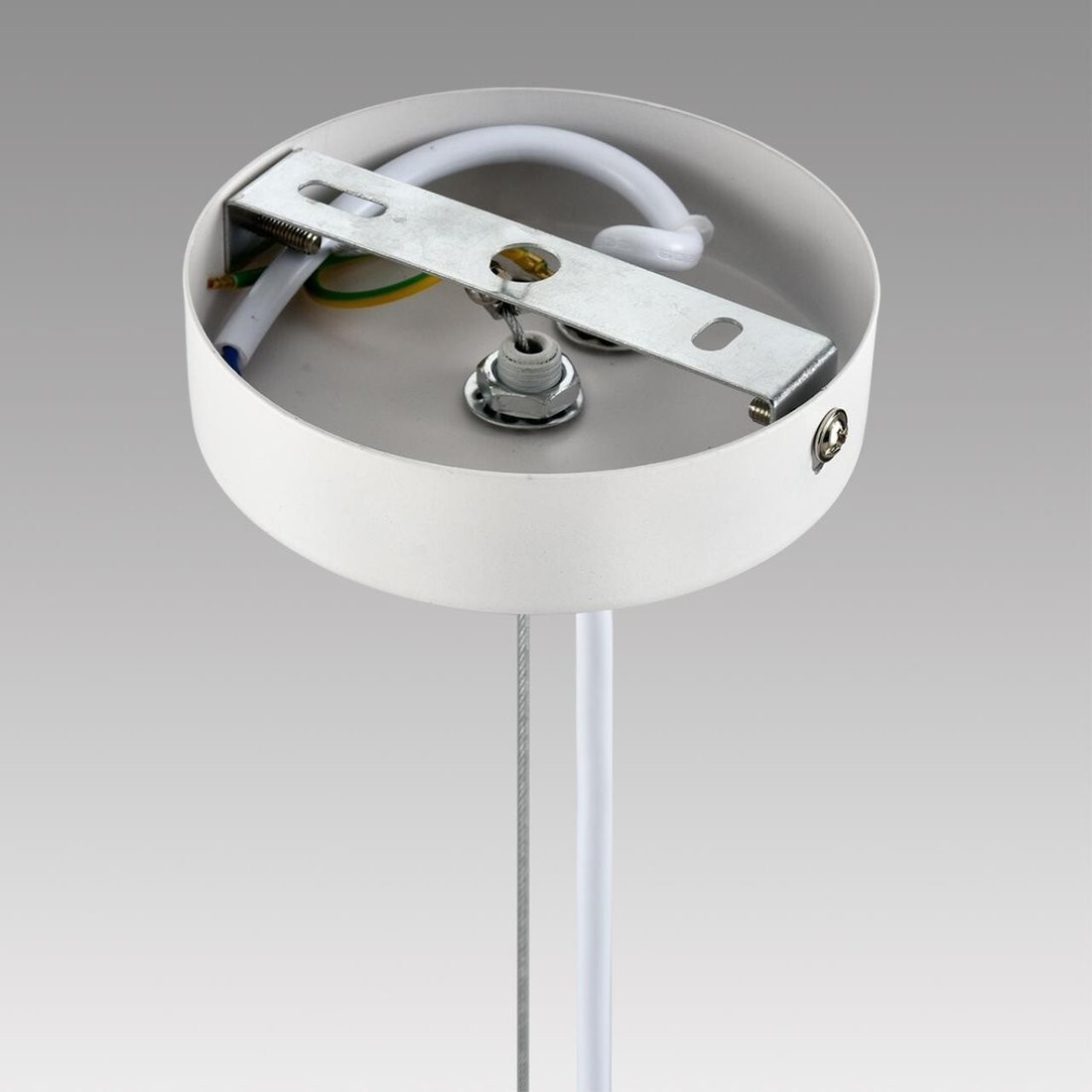 Подвесная люстра Lumion Torina 8265/5