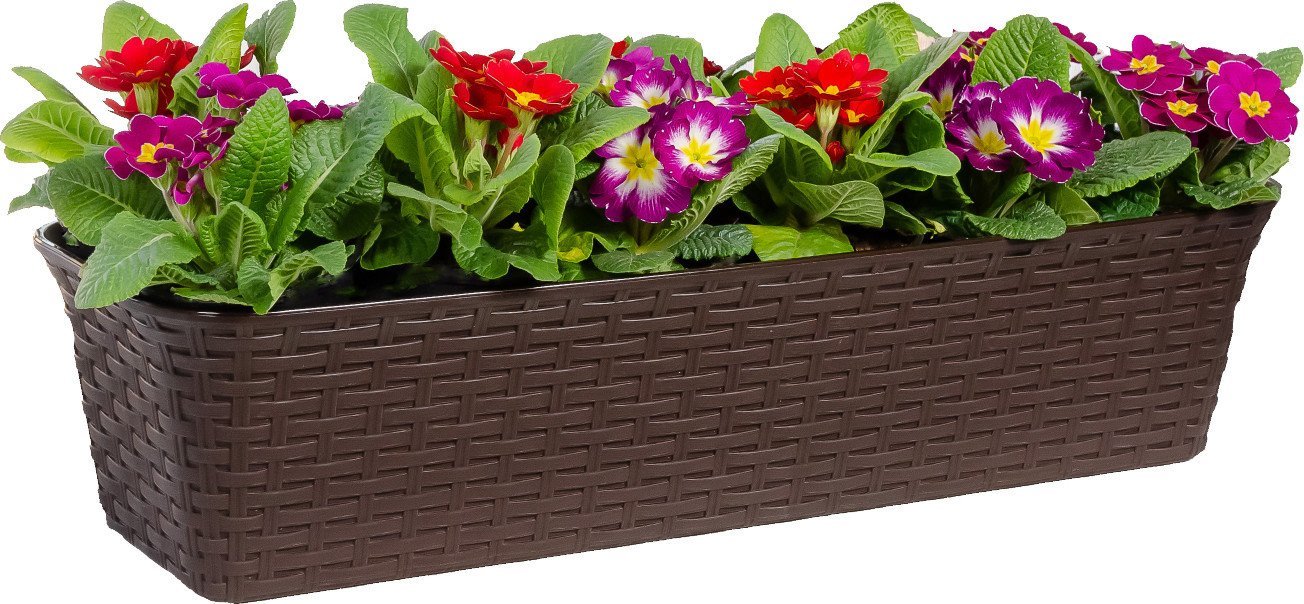 Вазон Violet Ротанг 3560005 (венге)