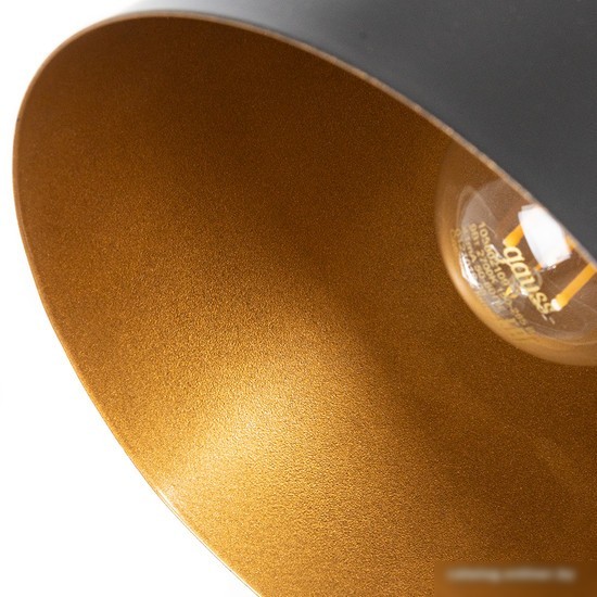 Светильник Arte Lamp Thomas A7032SP-1BK