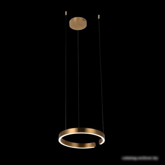 Подвесная люстра LOFT IT Ring 10013S