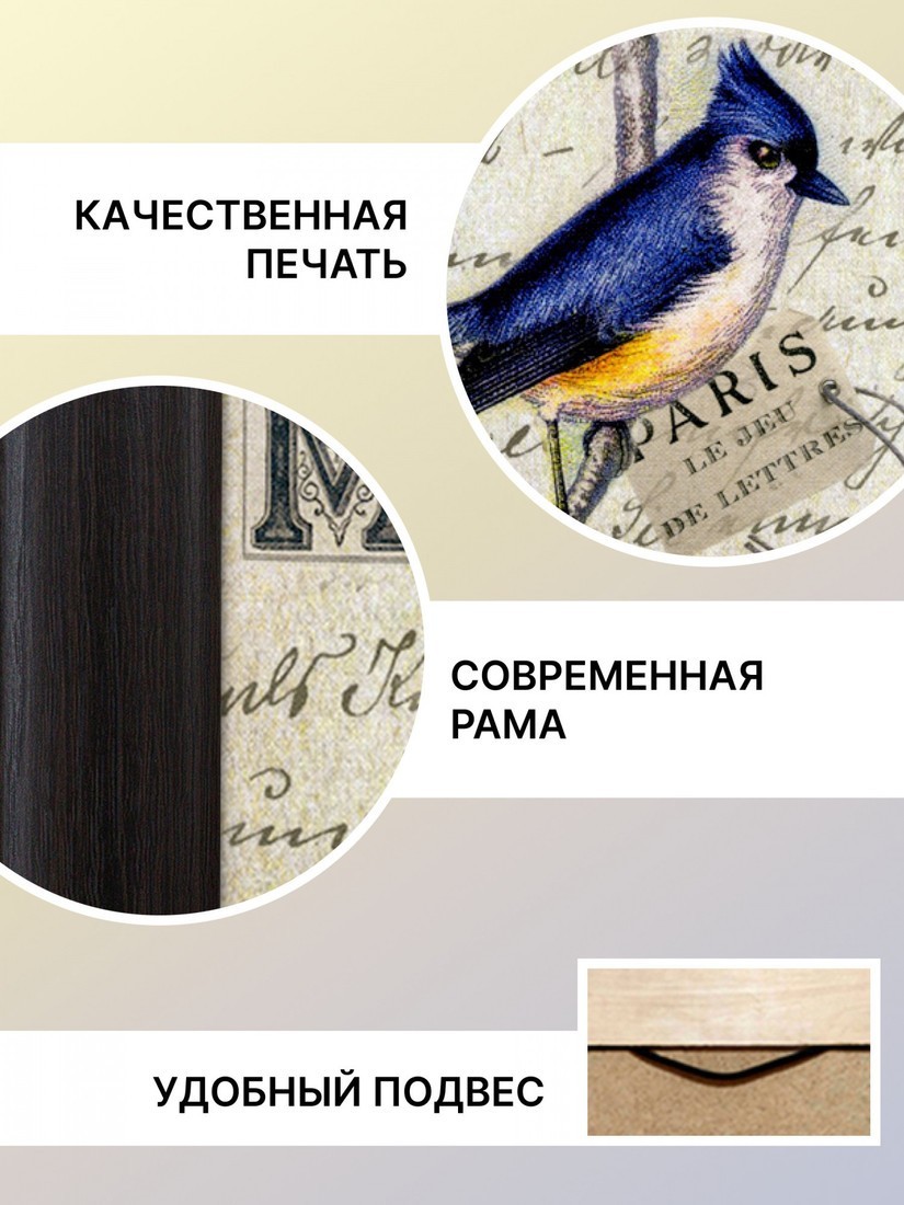 Картина Декарт 8Л1652