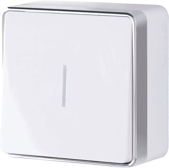 Выключатель Werkel W5010101