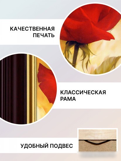 Картина Декарт 8Л2464