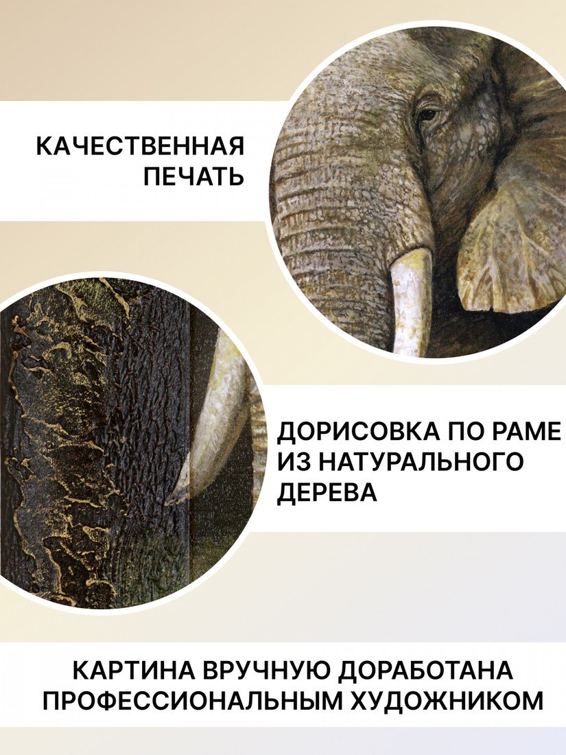 Картина Декарт 8Л0007